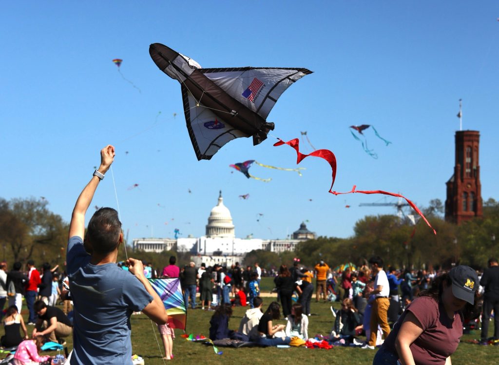 2024-Cherry-Blossom-DC