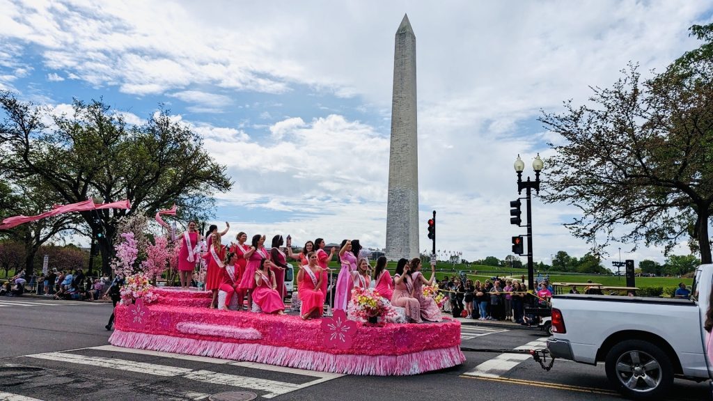 2024-Cherry-Blossom-DC